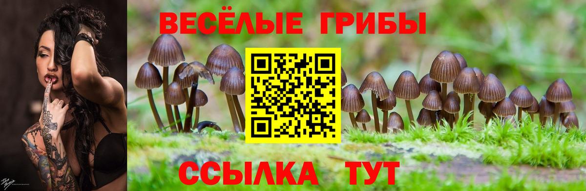 Псилоцибиновые грибы GOLDEN TEACHER  Псилоцибиновые грибы ЛСД  купить закладку  Вход с VPN  Воронеж 